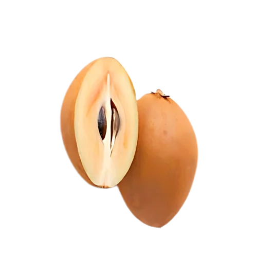 Sapodilla
