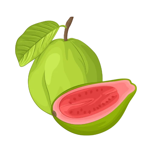 Guava