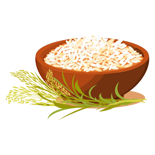 Rice