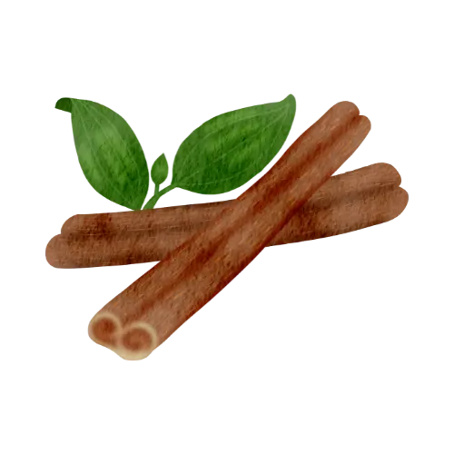 Cinnamon Leaf