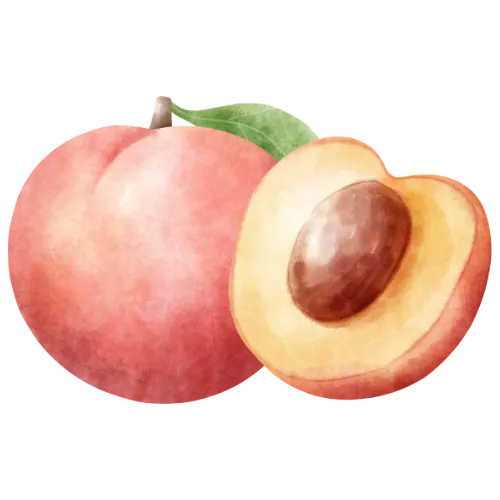 Nectarine