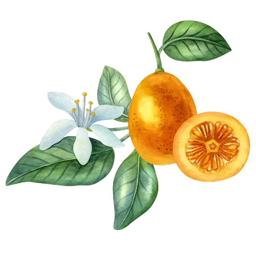 Kumquat