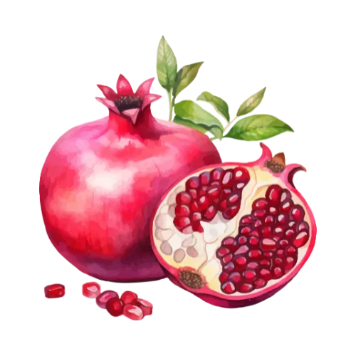 Pomegranate