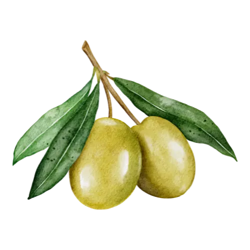 Olives
