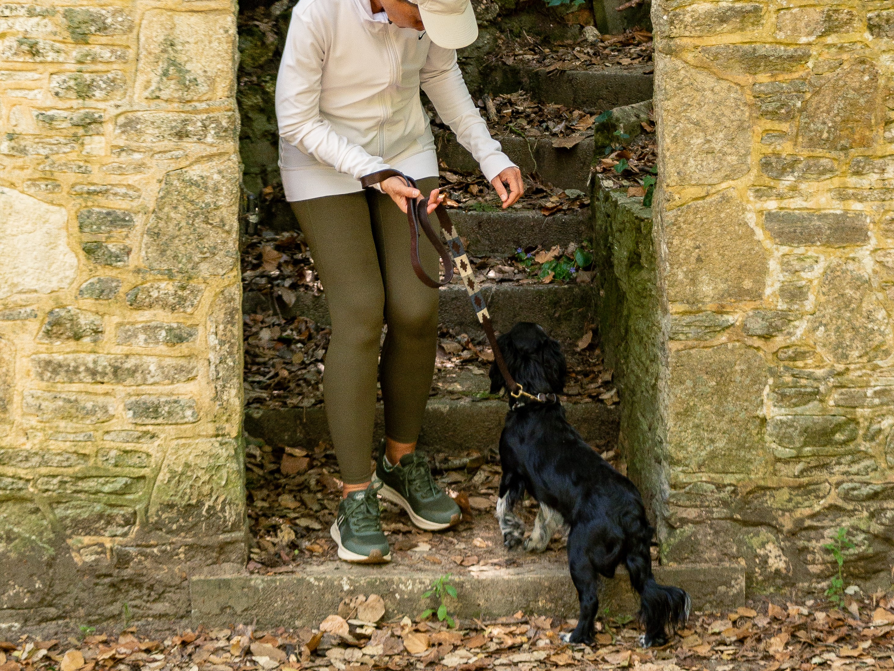 trowbridge dogwalking