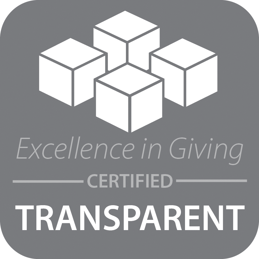 excellence in giving badge