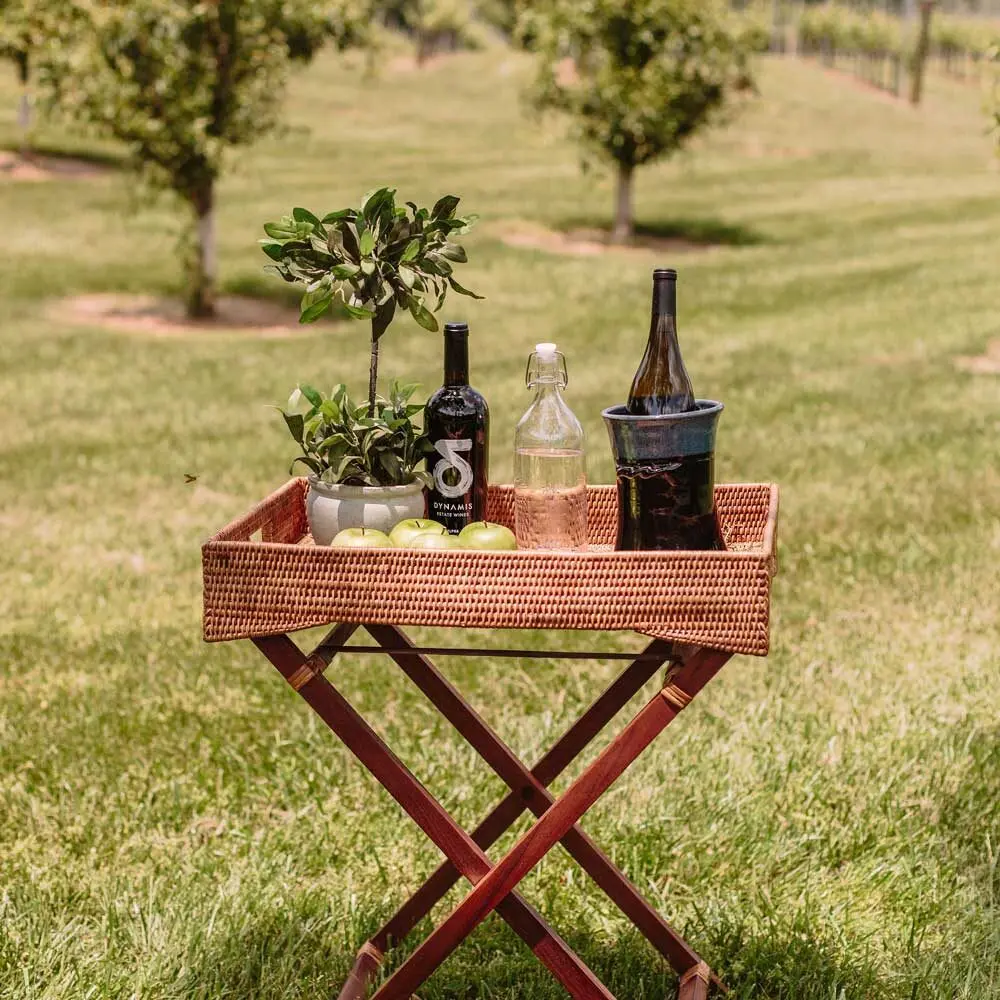 Outdoor tray with wine, water bottle, potted plant, and apples; vineyard background.