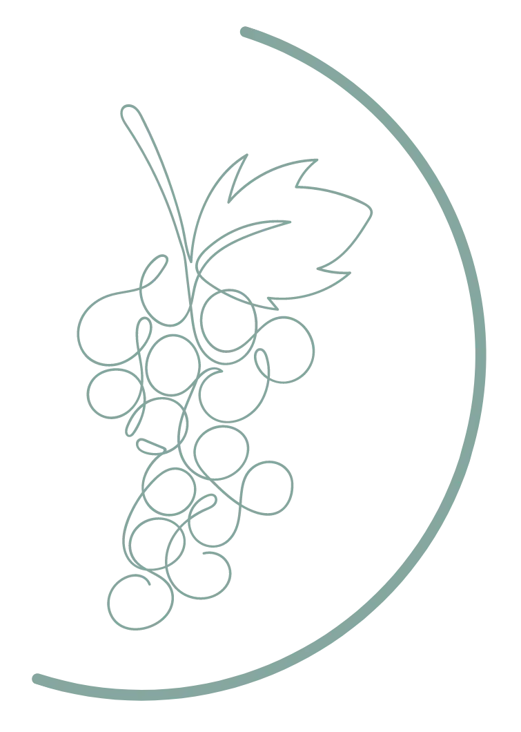Minimalist grapes and leaf line art with a curved line on the right side.