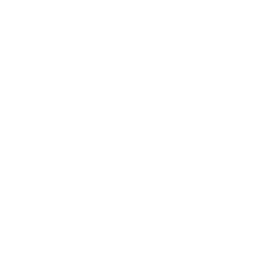 Users Icon