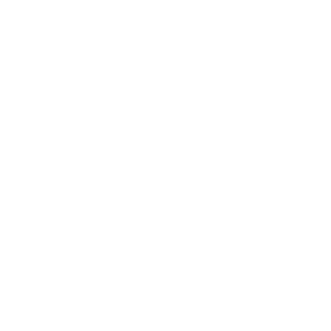 Bus Icon