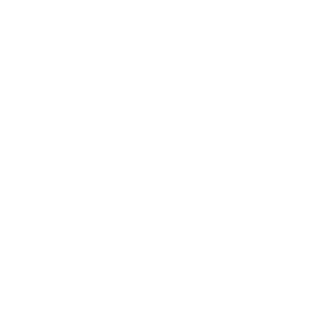 Basket Icon