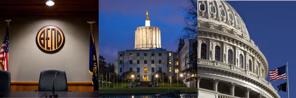 A collage of photos of the capitol building.