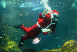scuba-santa