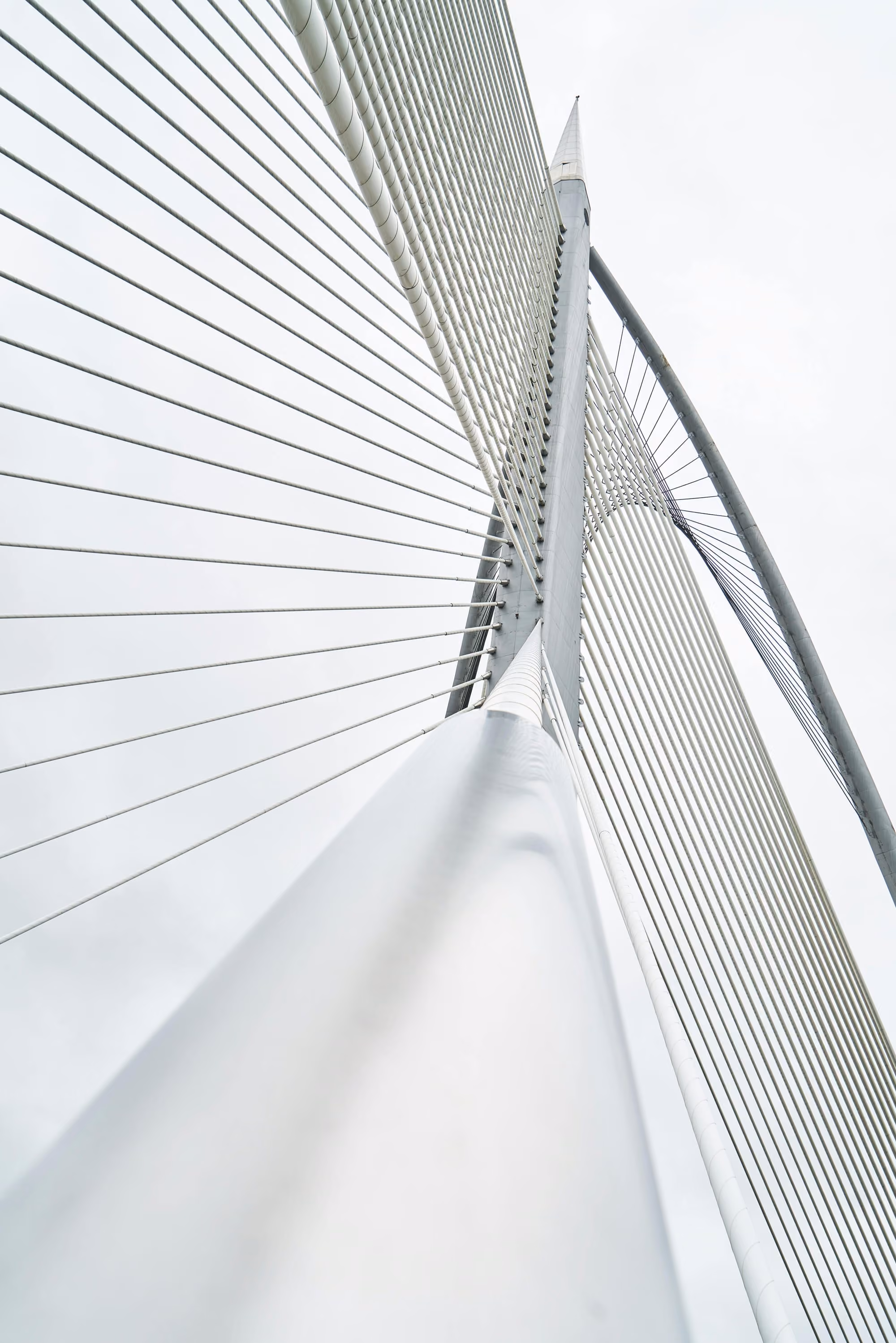 Close-up view looking up at the cables and support of a modern cable-stayed bridge.