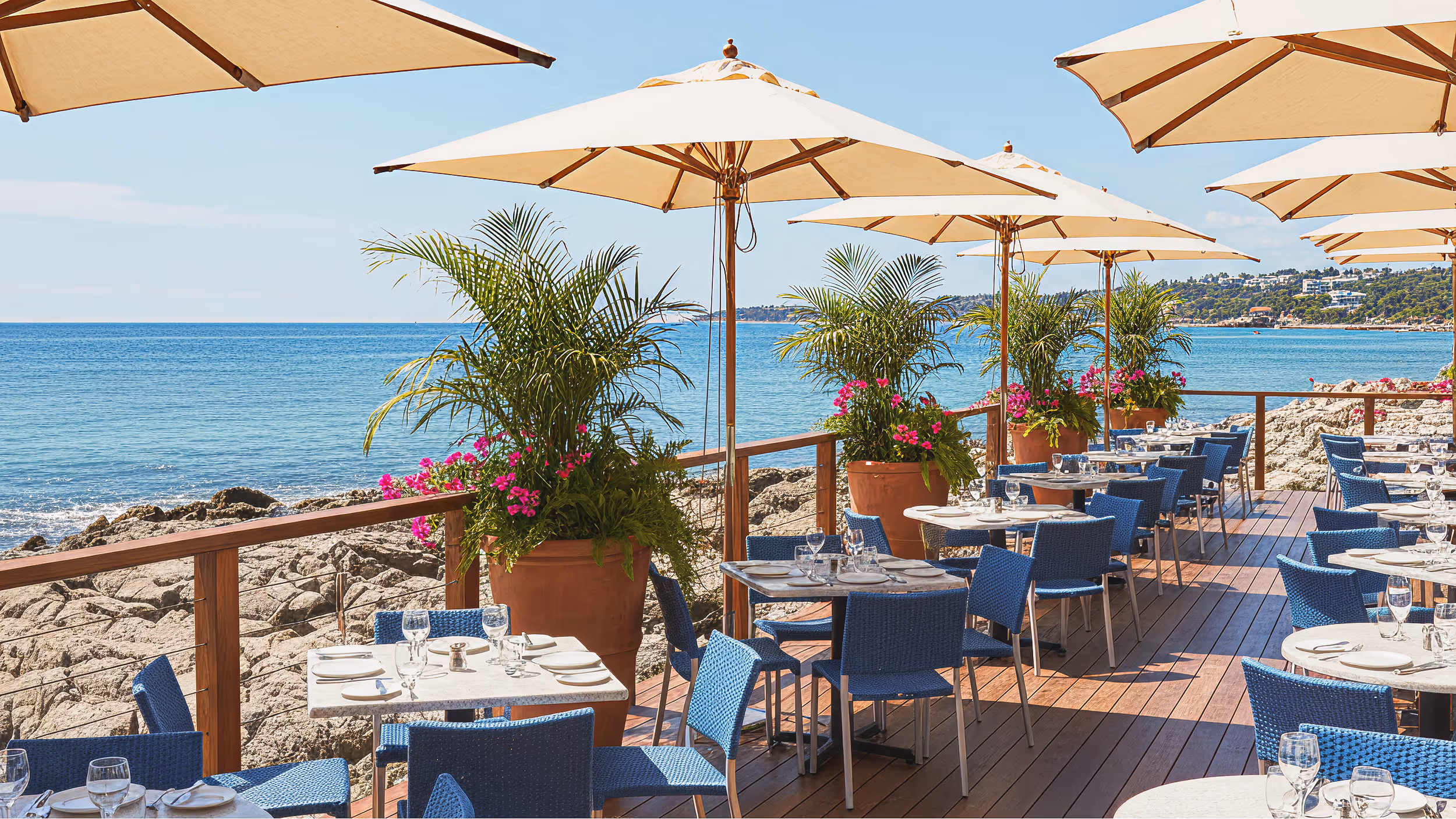 A wooden deck regularly serviced by Oso Pest Control to prevent any possible termite damage.