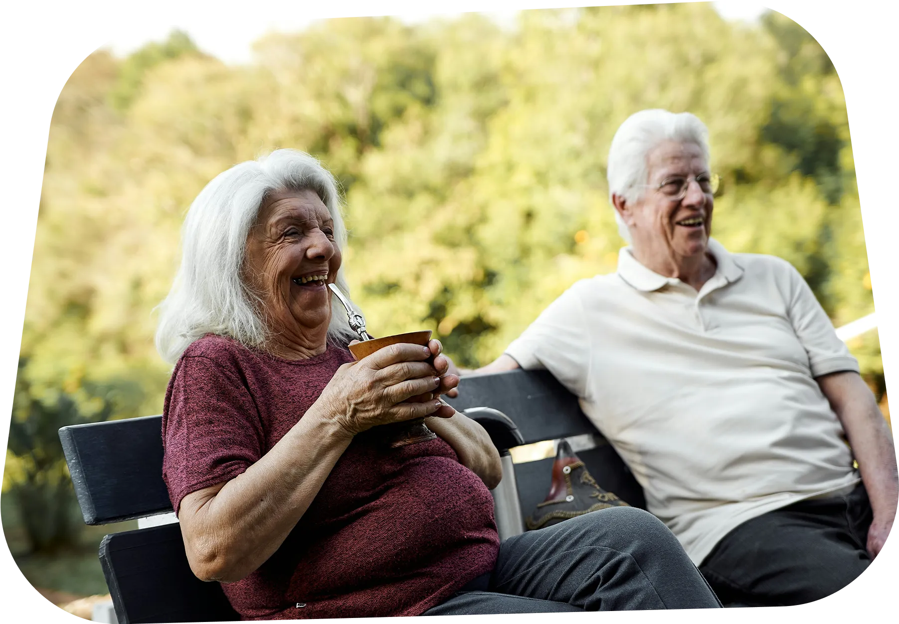 Elderly couple laughing together on a bench in a sunny outdoor setting