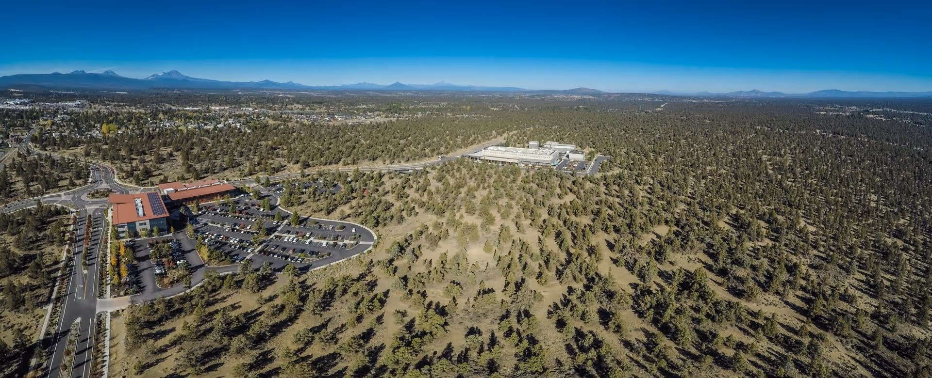 Shop Local Challenge