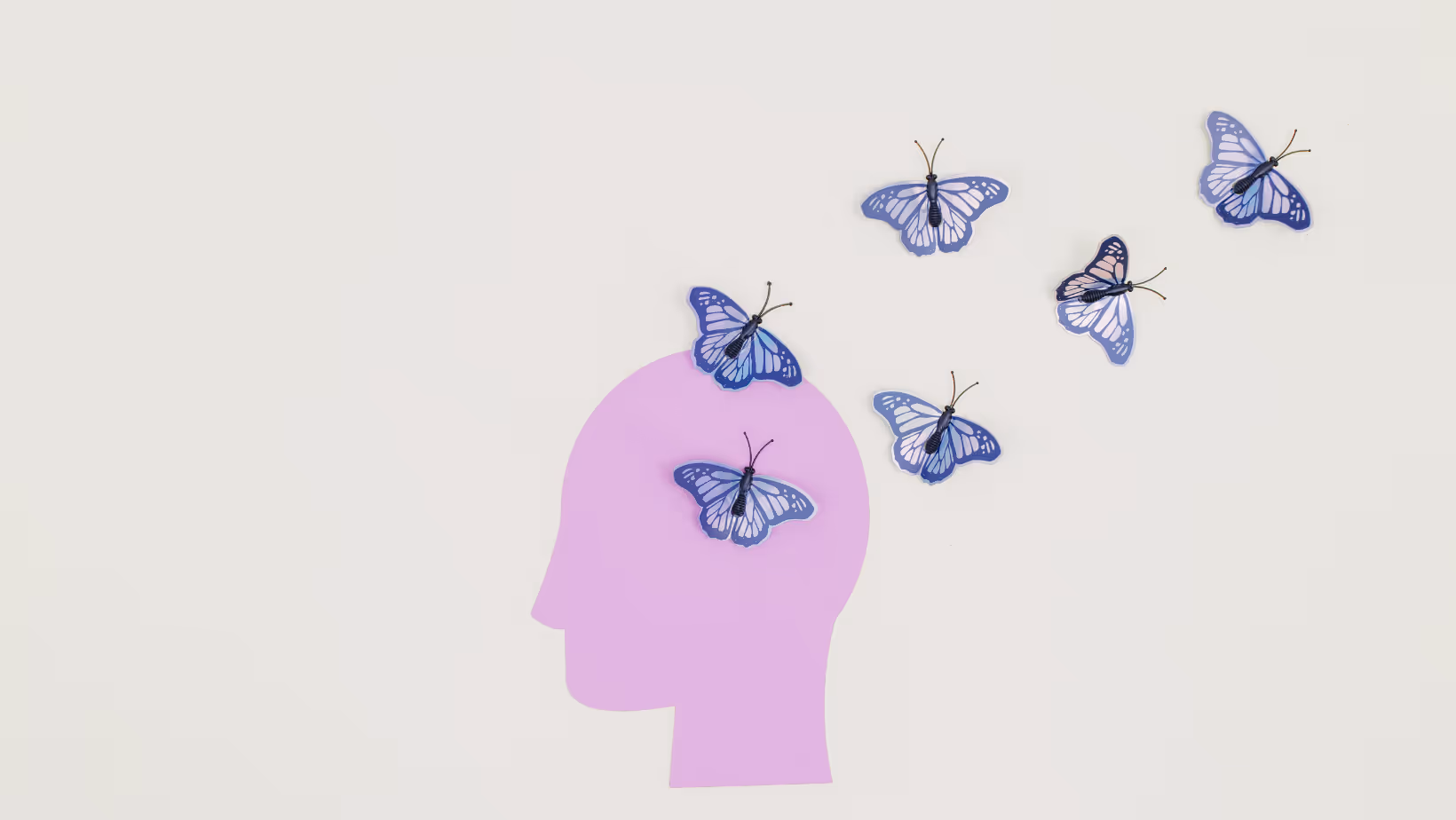 Rimrock Trails and Wild Ride Brewing Partner to Raise Over $50,000 For Mental Health Initiatives and Student Scholarships