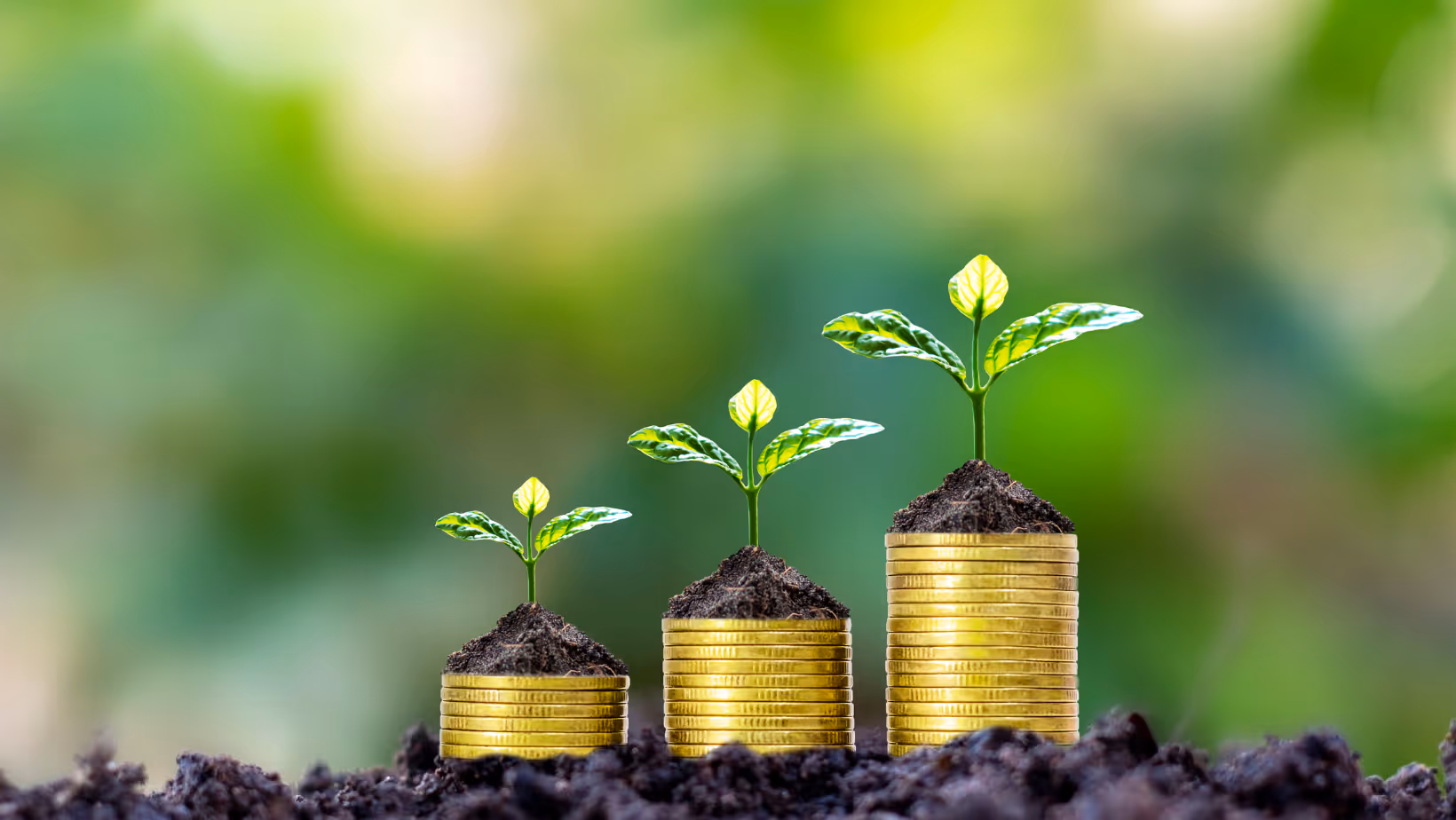 Ferguson Wellman Celebrates 50 Years With a Push for Financial Literacy