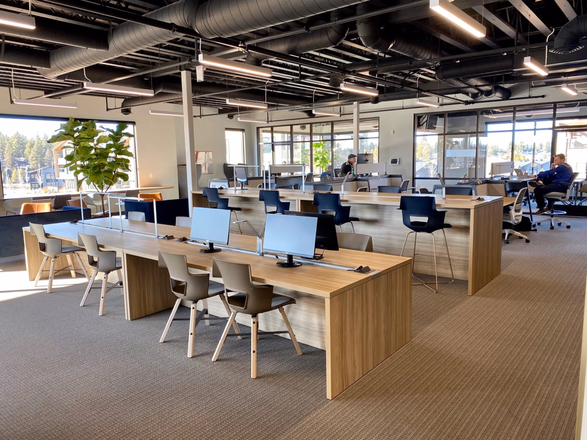 Work-Collective Celebrates Five Year Anniversary