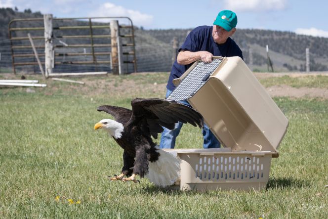 Think Wild and Central Oregon Community College Launch Fall Wildlife Speaker Series