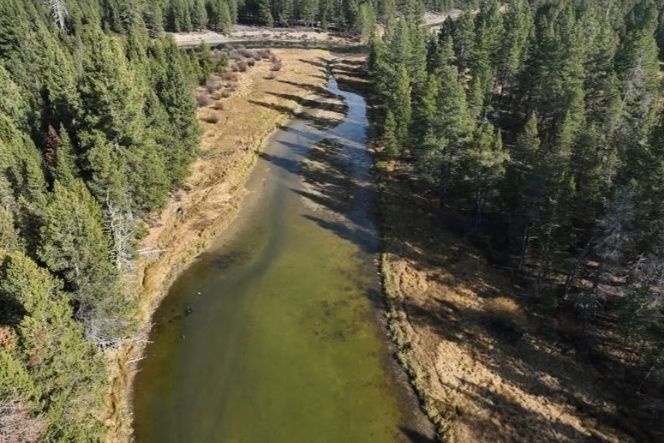Think Wild Seeks Volunteers After Wildfires Disrupt Beaver Restoration Projects