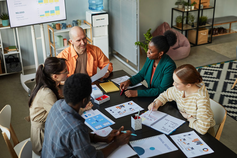 Enterprise Resource Planning professionals