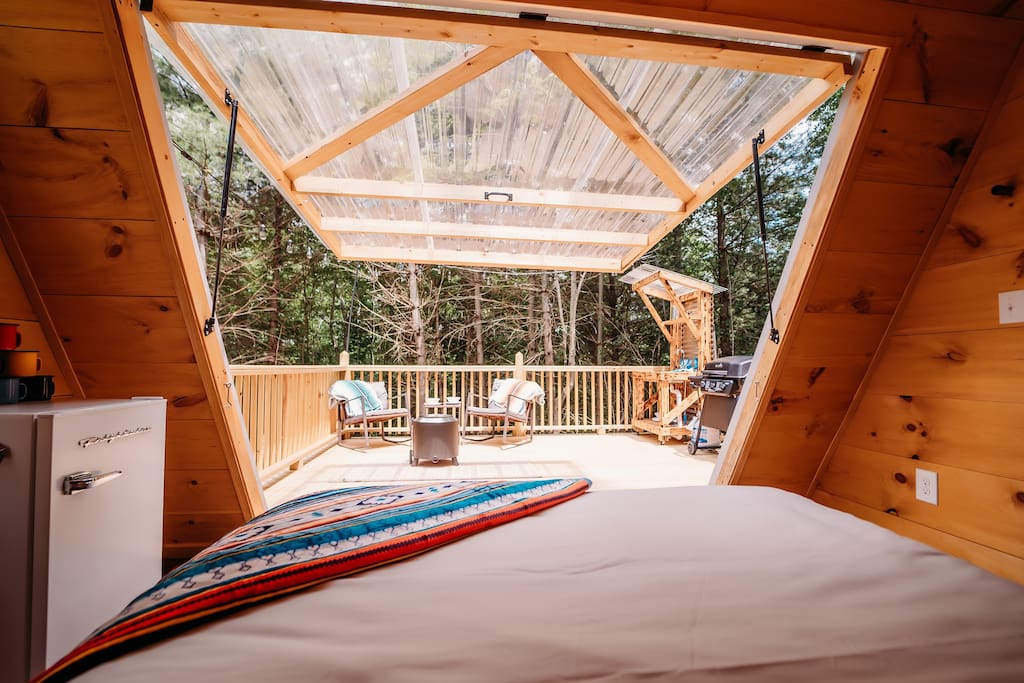 A view outside into the forest from inside a glamping retreat
