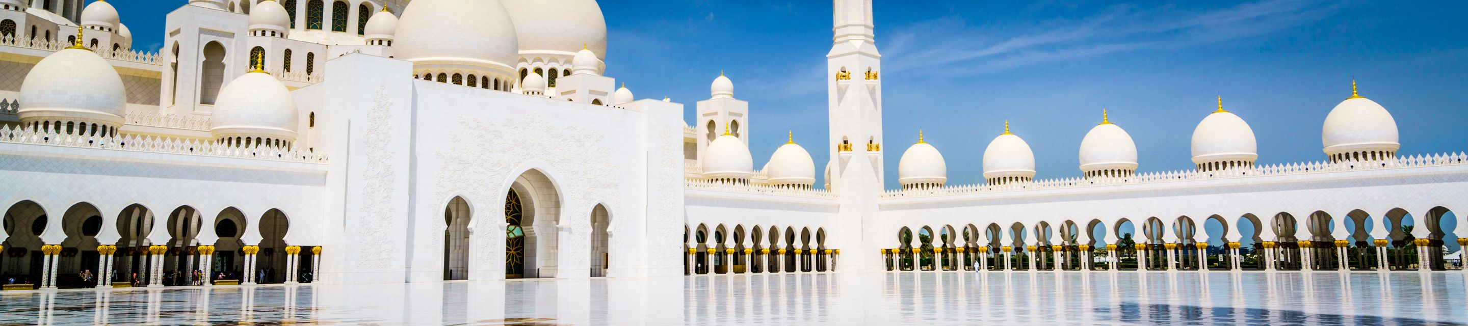 Reward Management Virtual Training | EMEA (English session)