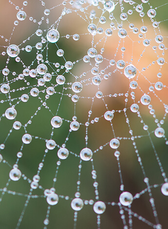 Networking Your "6 Degrees of Separation