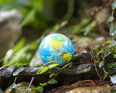 Earth Day 2022: A More Difficult Decision