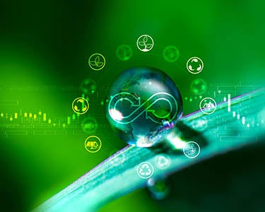 A Reset Moment for ESG Investing?