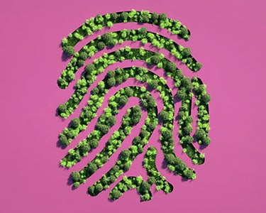 The Green Skill All Employers Will Need