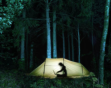 A Glimmer of Hope for Working Remote