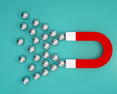 Essentials: The Right Hiring Fit