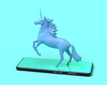 The Disappearing Tech Unicorns