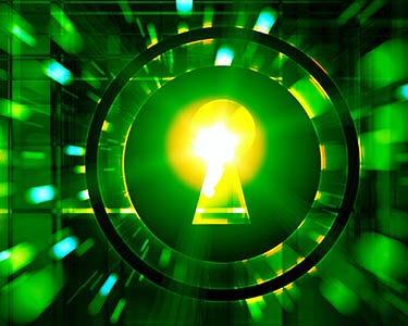 A Surprising Key to Unlock Employee Engagement