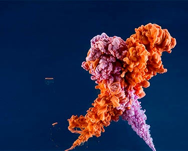 Merger Mania: The Only Way to Grow?