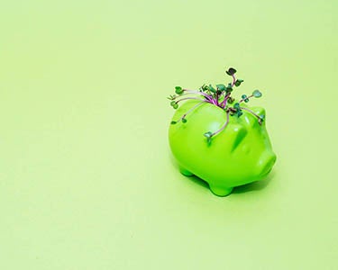 Paying Dividends (Literally)