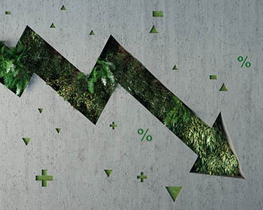 Sustainable Investing: No Longer Sustainable?