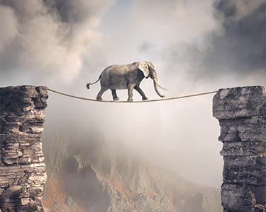 This Week in Leadership (May 20 - May 26)