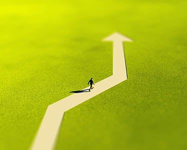 Single-Company CEOs, Where Are You?