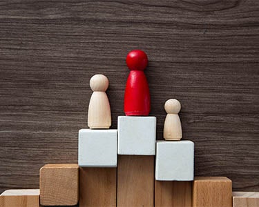 The New Hybrid Hierarchy