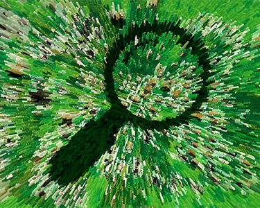 5 Ways to Find a New Role at Your Company