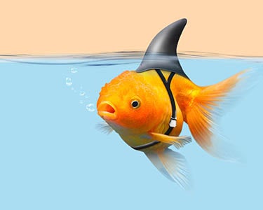 The One Word Leaders Dare Not Speak