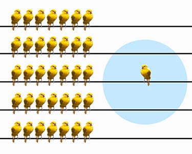 Always Getting Hired