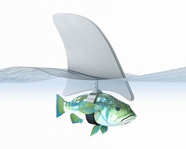 Not What I Signed Up For