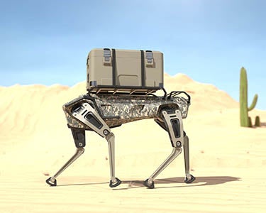 First AI, Next Robots