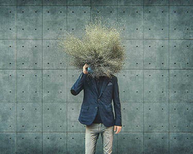 Essentials: The C-Suite—and Manager—Squeeze