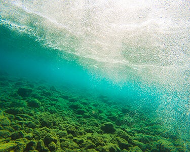 The 'Climate Change' Director